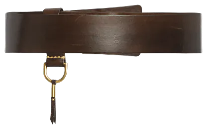 Heritage Belt dark brown (gold buckle) - Accessoires