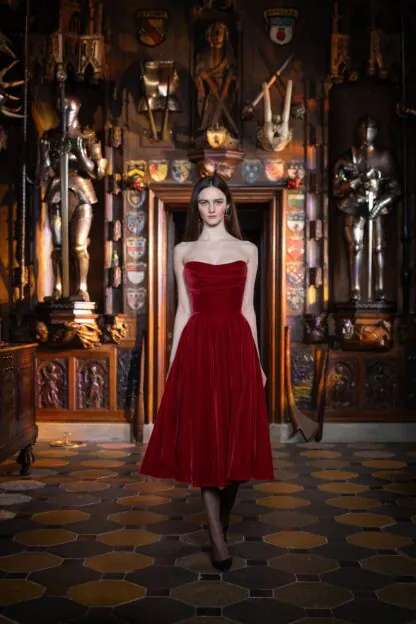 Chivalry Dress ruby - Dresses