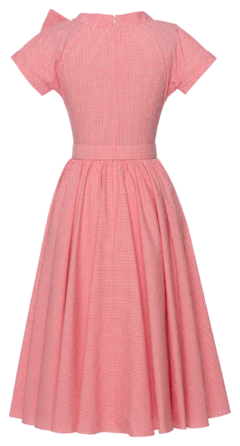 Emily Kleid pink gingham - Kleider