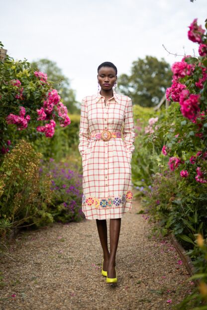 Molly Dress picnic - All Products