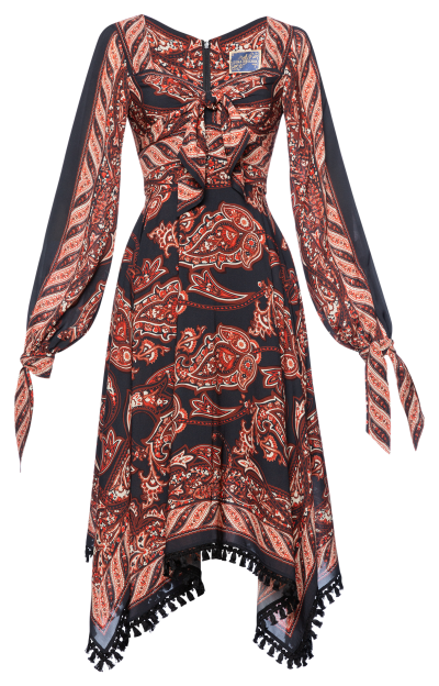 Wild Side Dress night paisley - All Products
