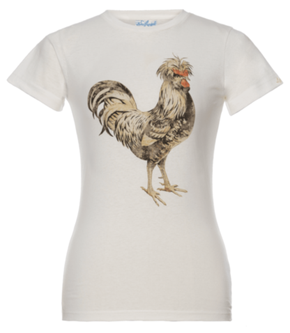 Qui Shirt gallo - Neuheiten