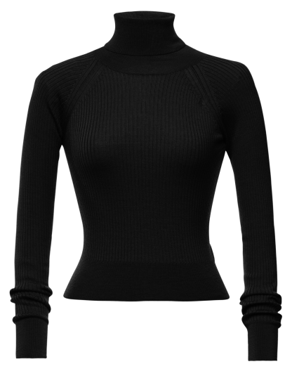 Wendy Turtleneck black - All Products