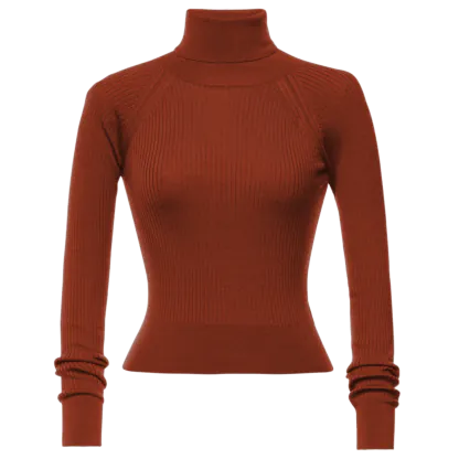 Rust orange turtleneck store