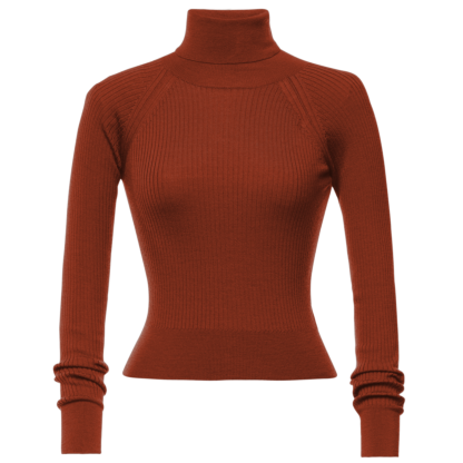 Wendy Turtleneck burnt orange - Knitwear