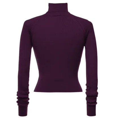 Wendy Turtleneck eggplant - Knitwear